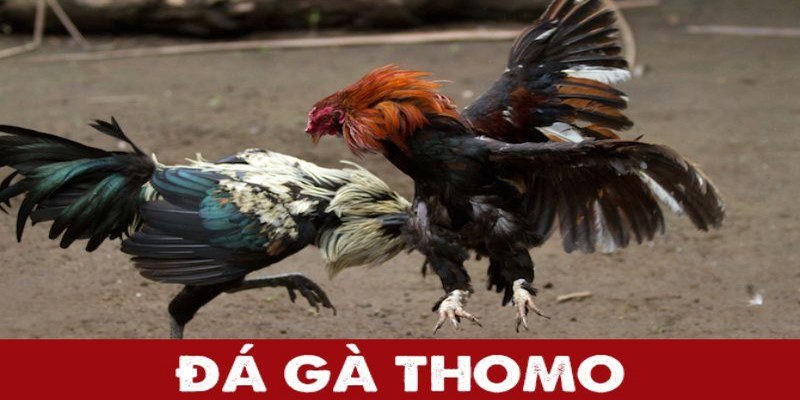 da-ga-thomo-anh-avata